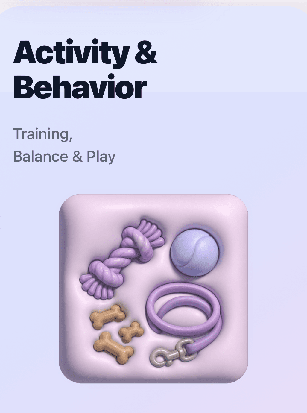 Activity & Behavior — Training, Balance, Spiel