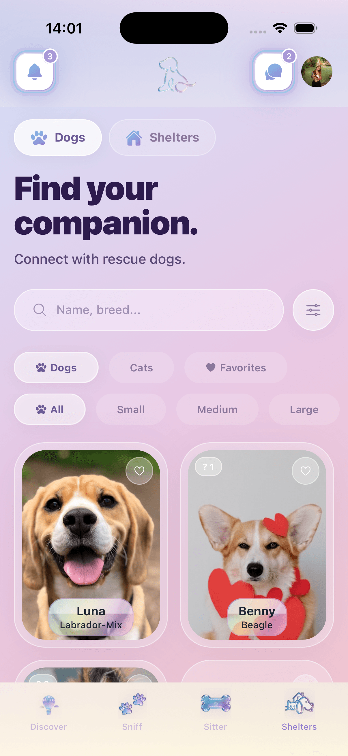 Souldog-App: Tierheim-Liste mit Hunden zur Adoption