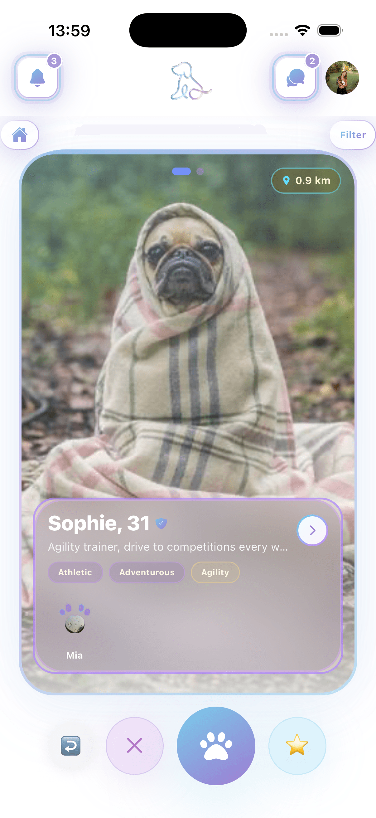 Souldog-App: Schnüffeln – Profilkarte einer Hündin in der Nähe